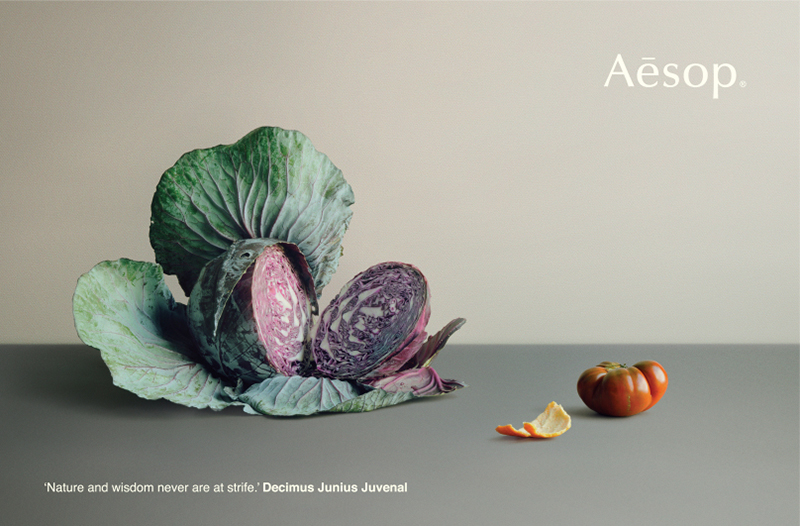 Aesop por Derek Henderson